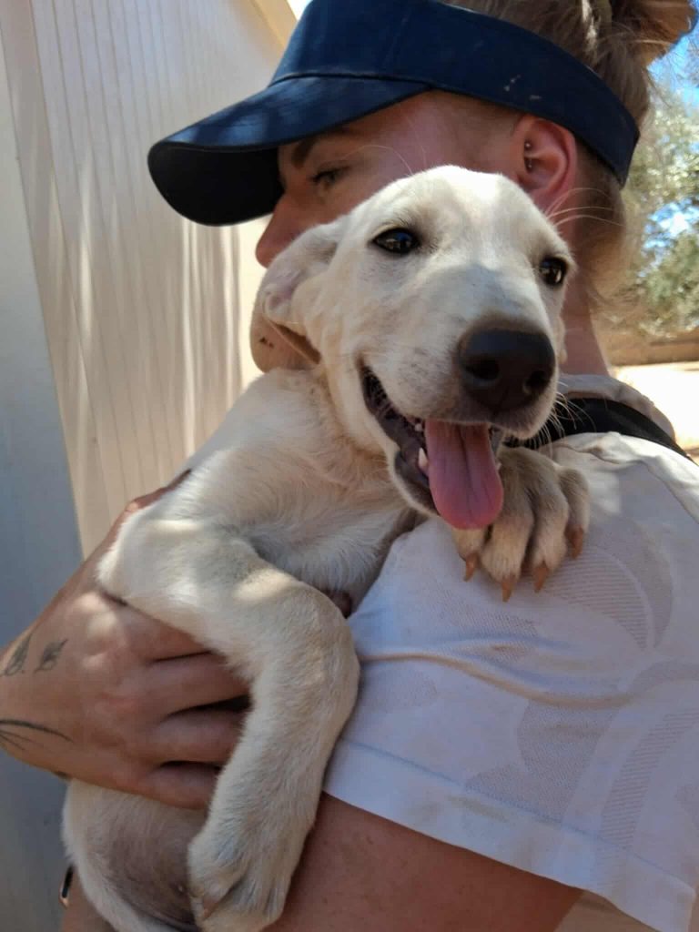 524808320_1528159308566917_3061410704849540994_n