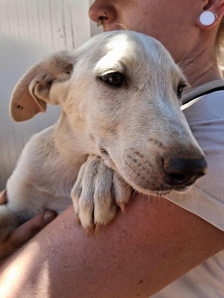 525385164_3059212414246289_3722930605659792341_n