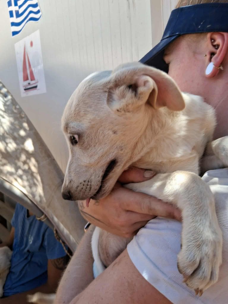 526547170_1918513162270413_1137594793418691030_n