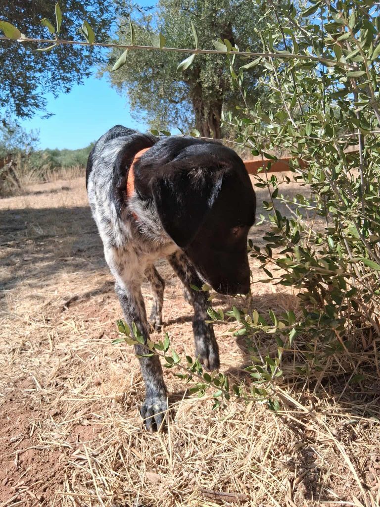 549435063_2002602290144437_6582810255077838562_n