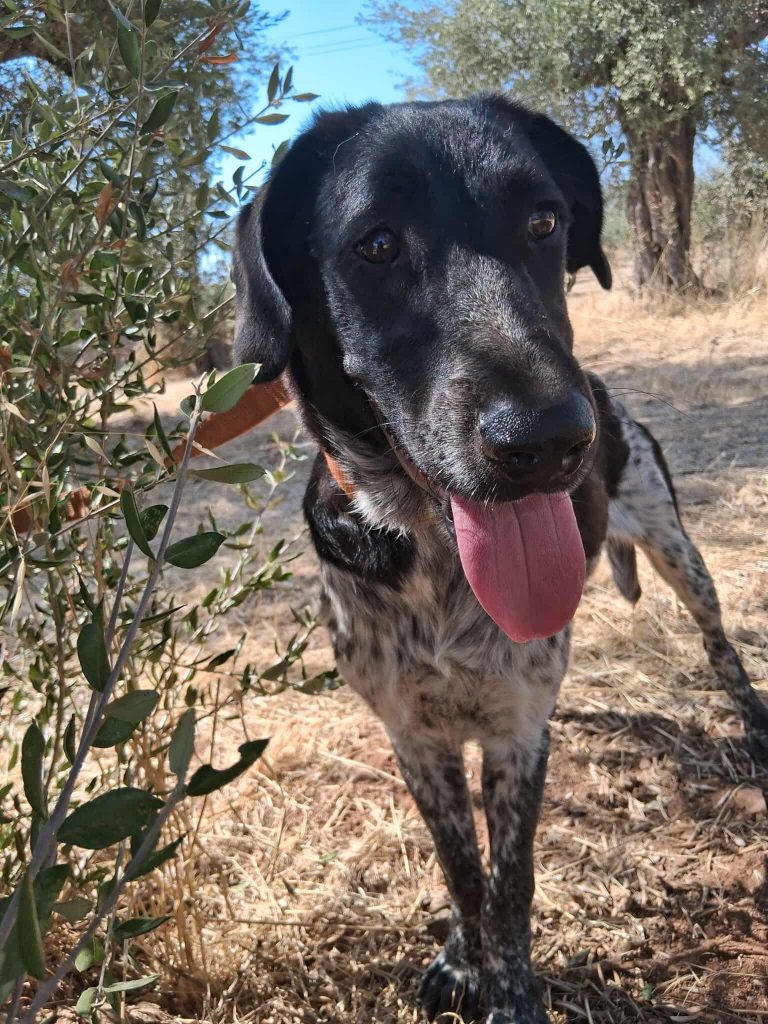 549614376_1311003833723896_4586073029177141473_n