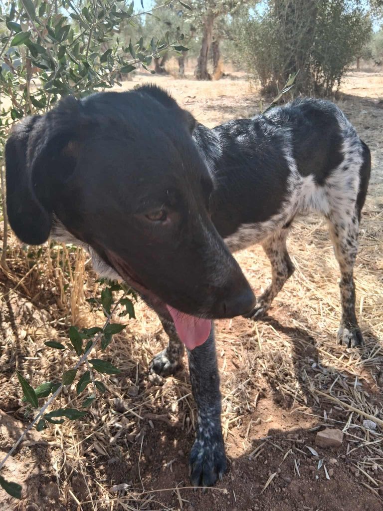 549918270_1432381204498877_2844956440905268589_n