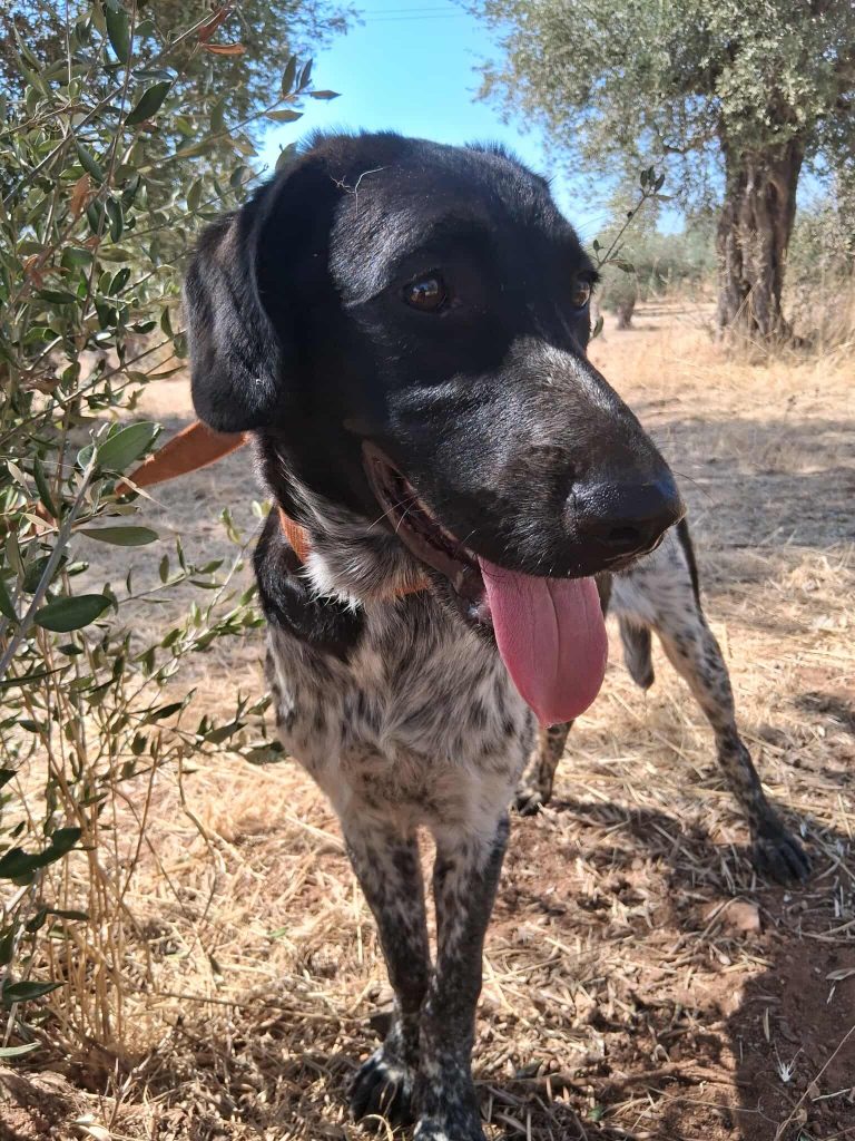 550301727_2188053005012878_5261889277756465967_n