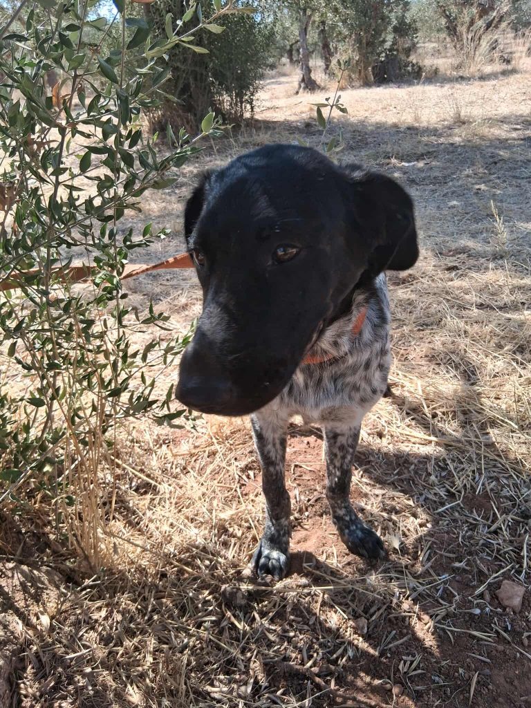 550518065_1455346925715211_8778253893893379145_n