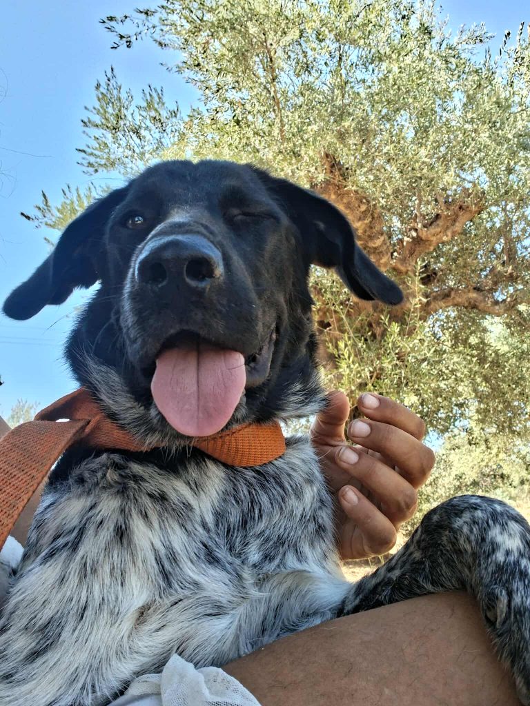 550594801_1114833566889999_4937149582679776255_n