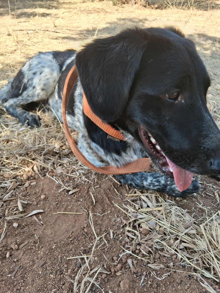 550625999_1498062507859653_785795814725528681_n