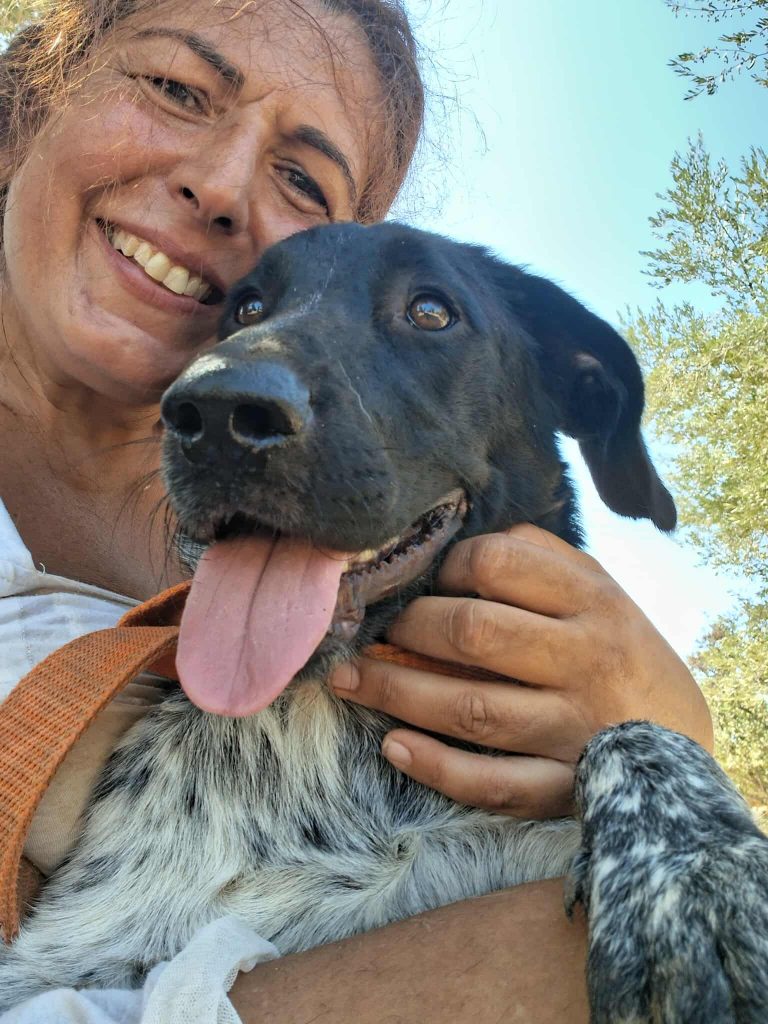 550658613_2117194718805150_4757258991644917516_n