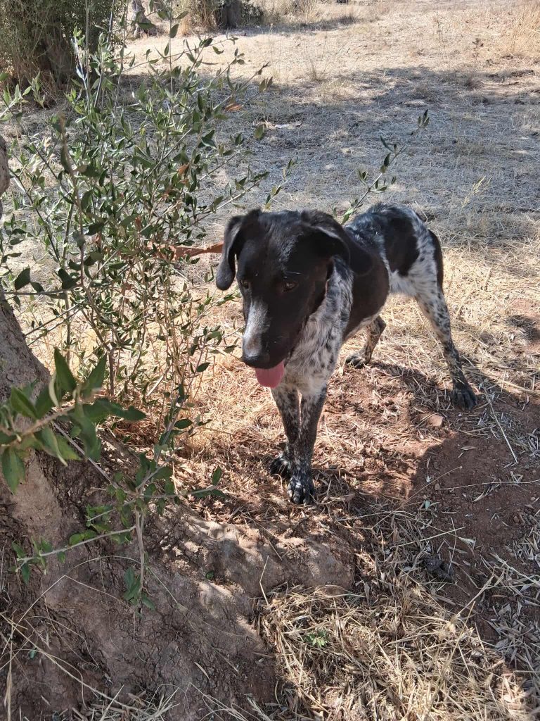 550776732_1120619536205032_7880766424632214933_n