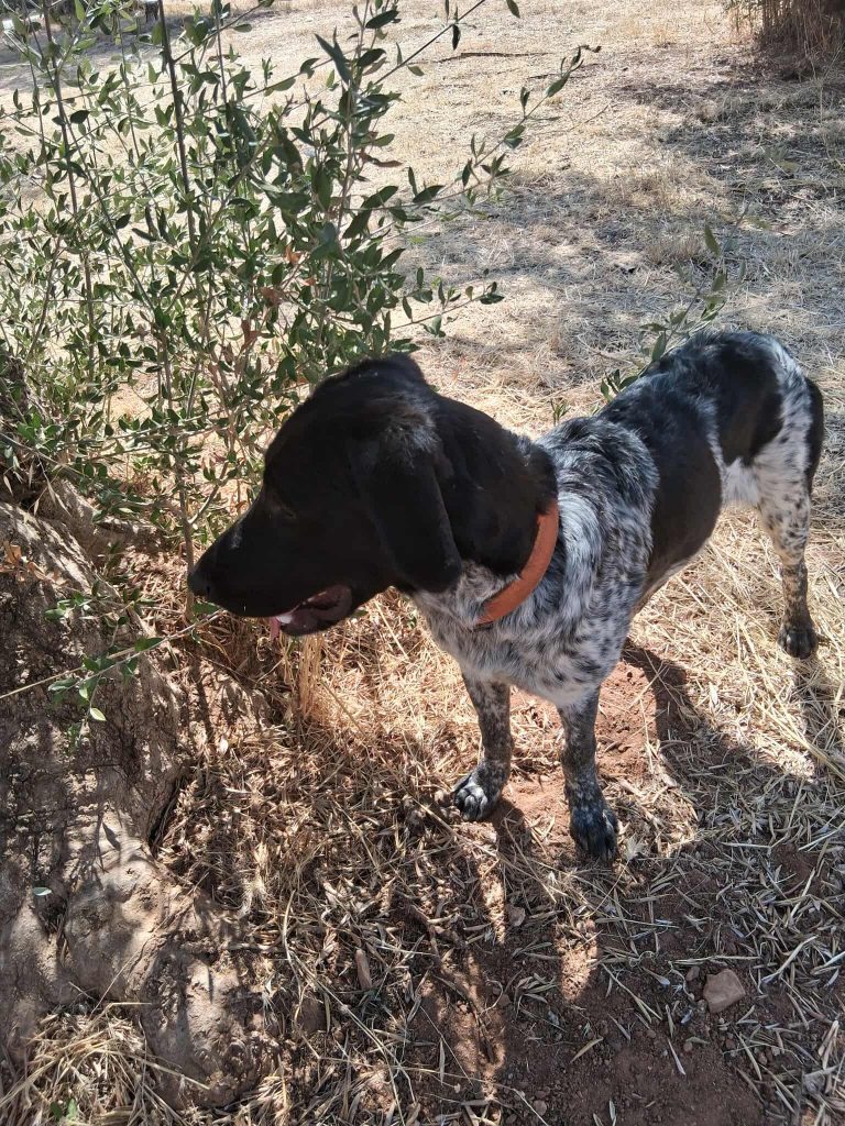 550902029_662924636858769_3761913332684107697_n