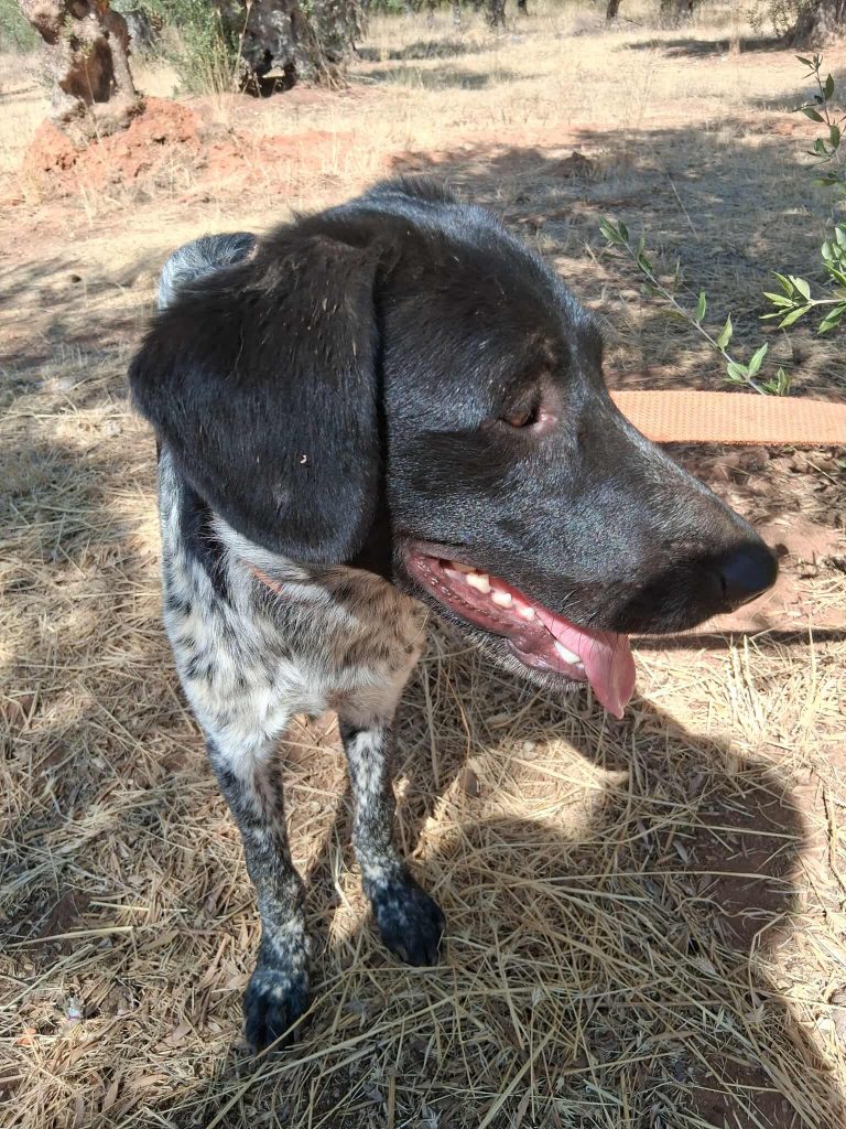 551171985_1328412988894979_6541511647718378382_n