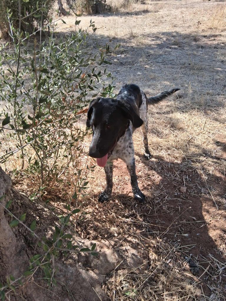 551325543_1103388038650436_6352765846277891783_n