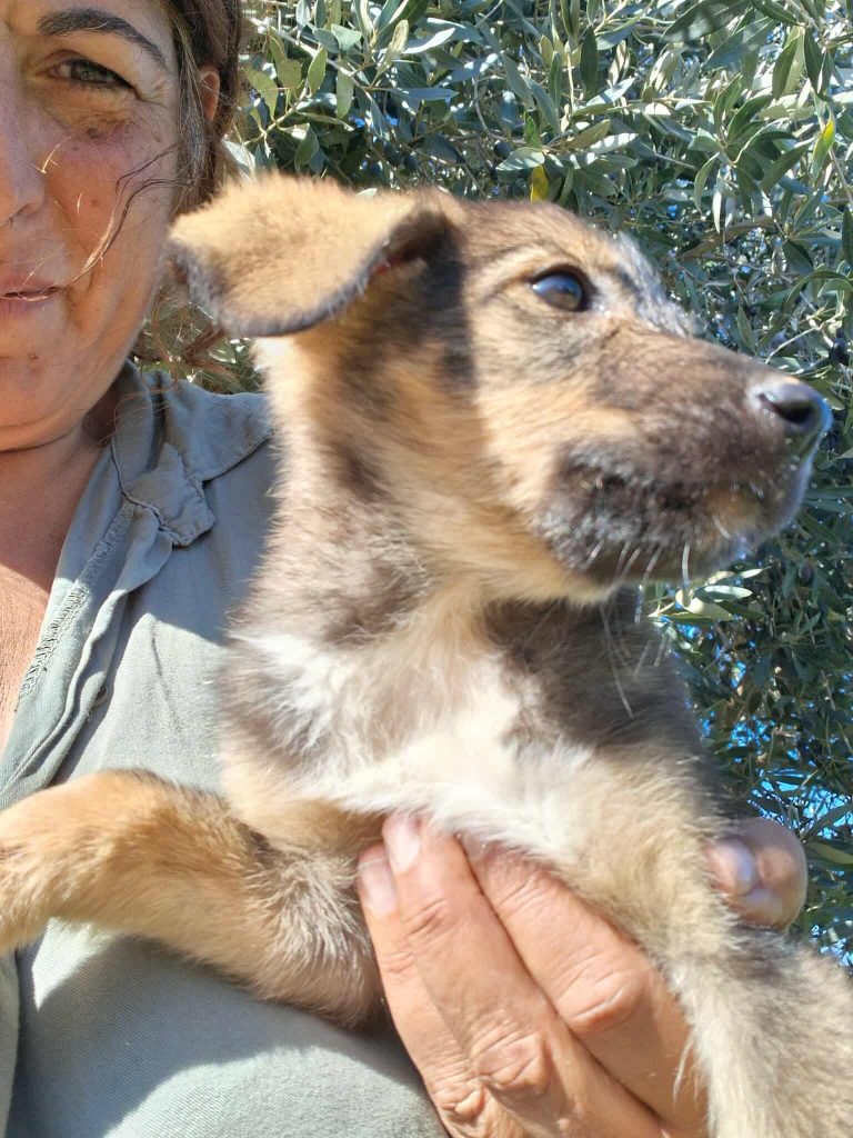 572692941_800835092717351_2921077225700799750_n