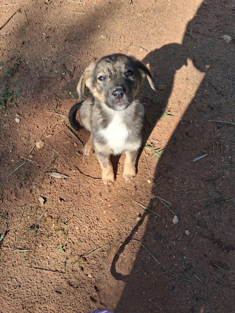 573338019_1836515526963074_8316493135604724508_n