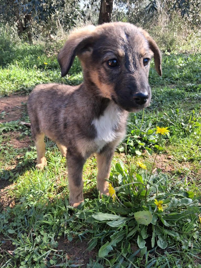 573456103_840853531854769_3296508916725274302_n