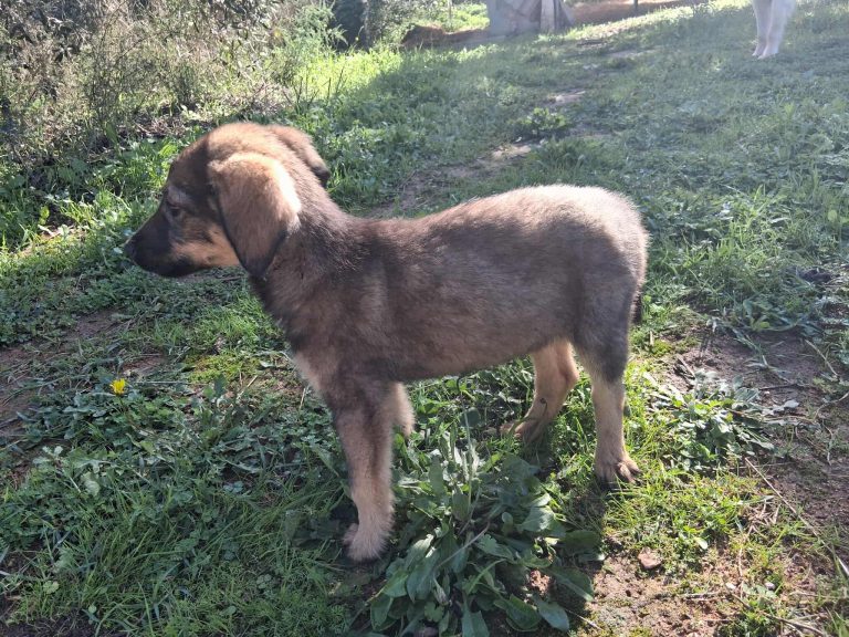 573565970_2297915457349075_3466527114938091406_n