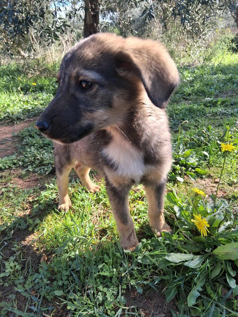 573800093_1945260893038797_5449479115833045367_n