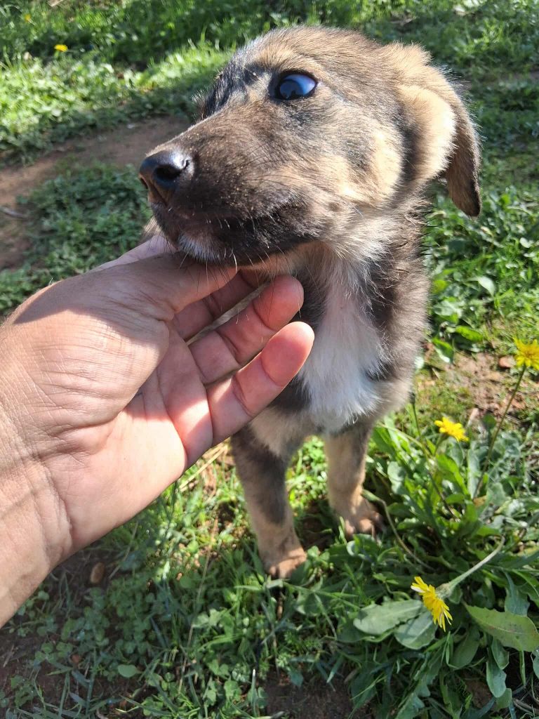 573827597_4858091497750514_2452216018263046717_n