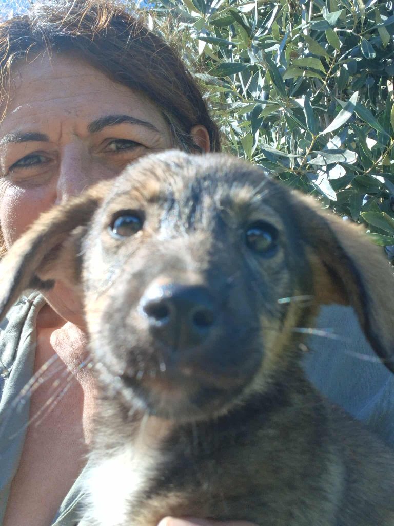 573827597_805598292264863_3693399677424869362_n