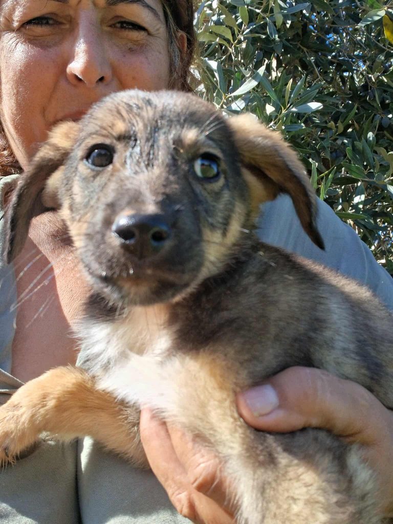 574210443_804088205838870_6428871725386887468_n