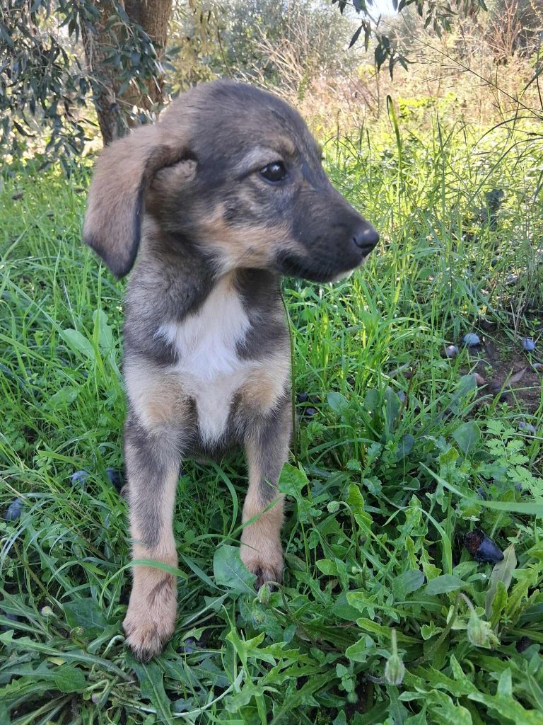 574583345_1576138957030099_8541787159457708161_n