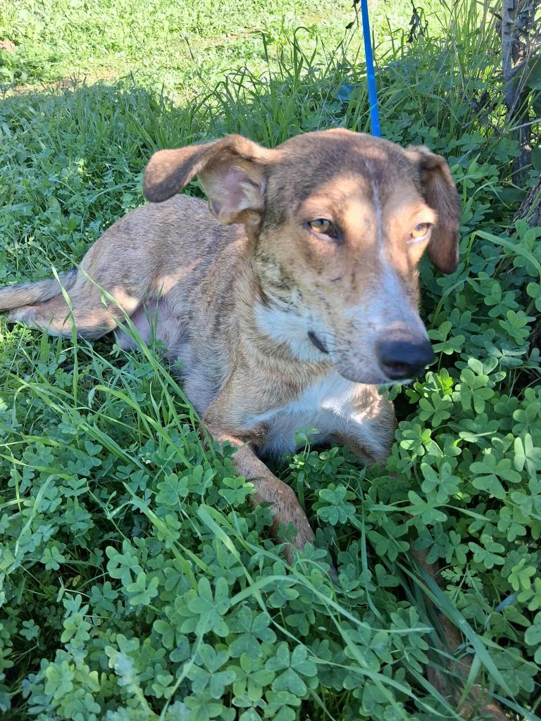 574623465_796904026506194_6598914183137030086_n