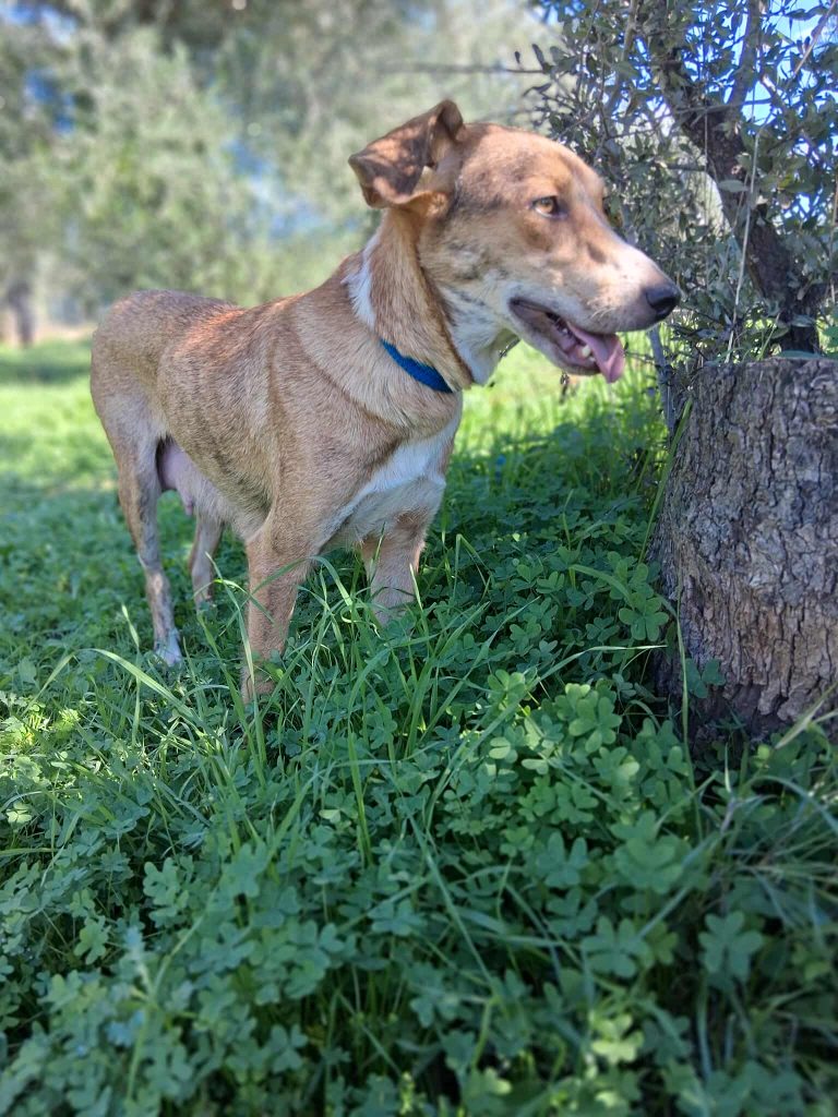 574978029_1379902403708107_5364153382684302418_n