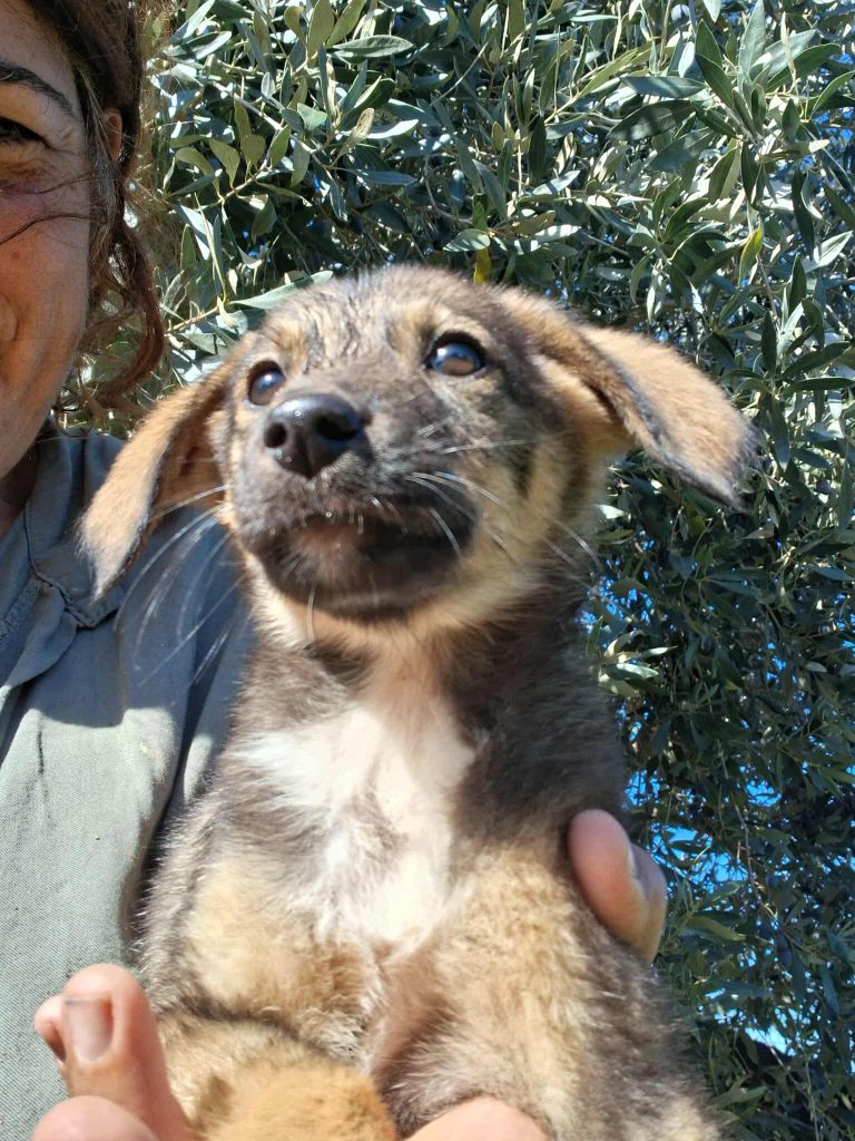 575219710_32791895330408741_9051116901737517017_n