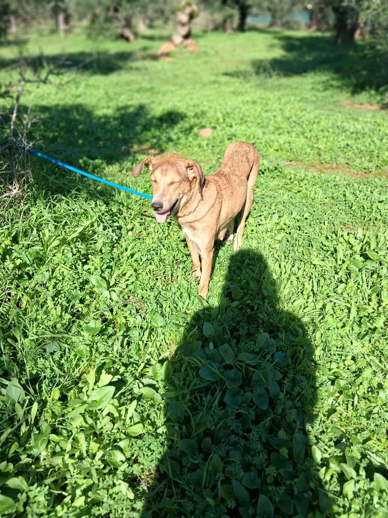 575429621_863467526155222_4913937624146663065_n