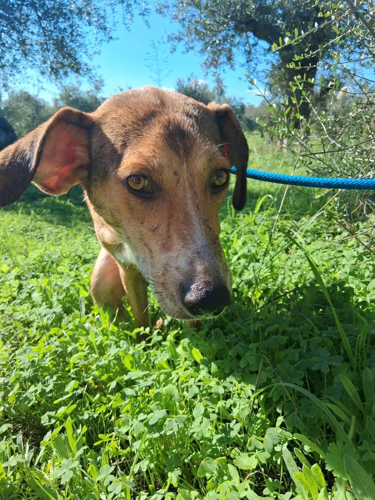 575696084_1176900181035160_2348275040811020791_n