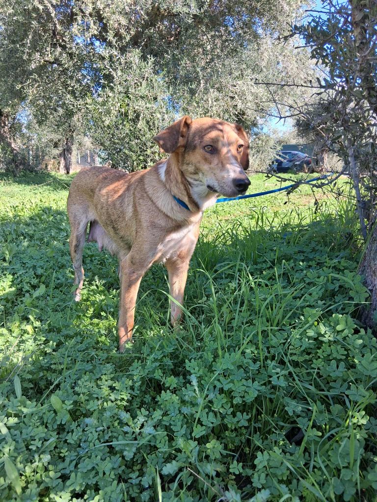 575808651_1362970415326896_8221042422471492891_n