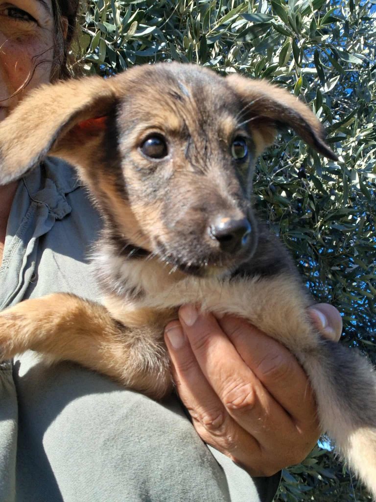 575865396_1336704124174886_1744033359771028413_n