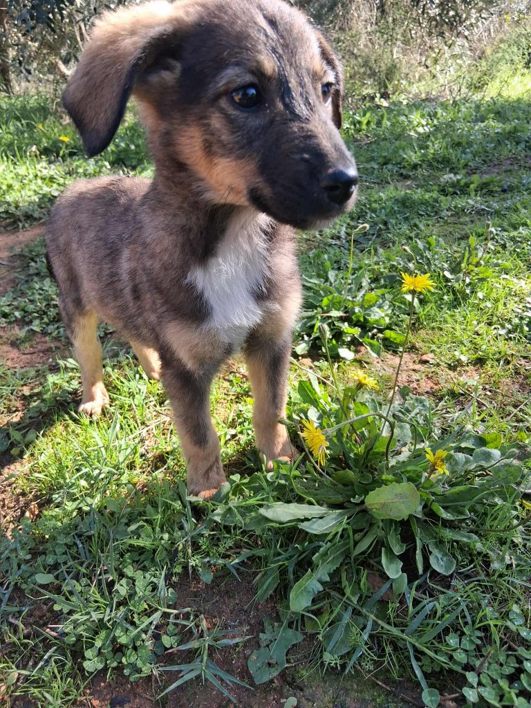 576131146_1499754371231423_4047011373863445708_n