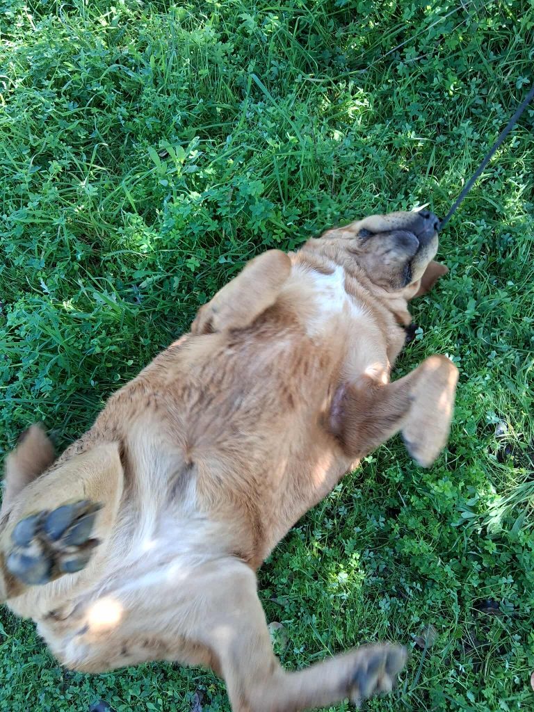 579106601_2084669905604959_8027660793838494193_n