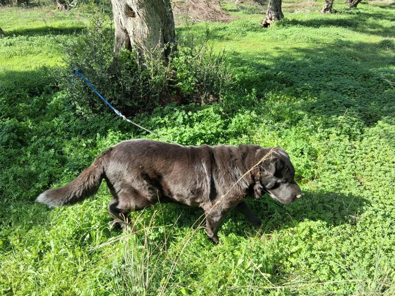 579430123_32268732566108052_8157373984613815330_n