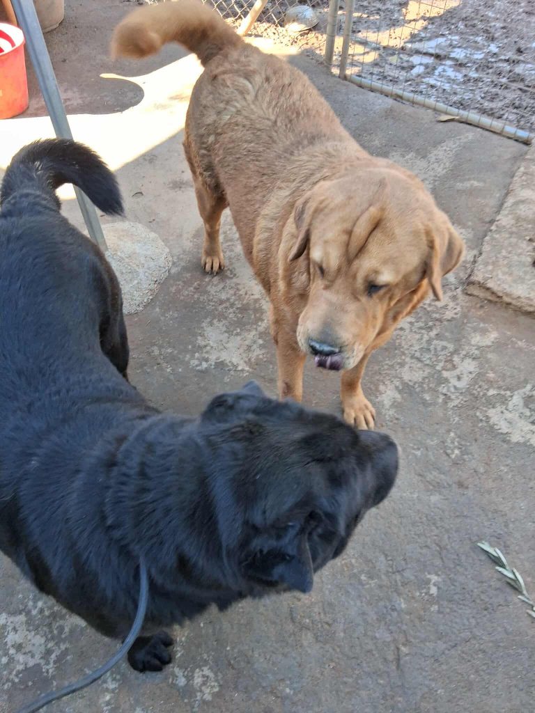 579547759_902568219380534_3563197957584612686_n