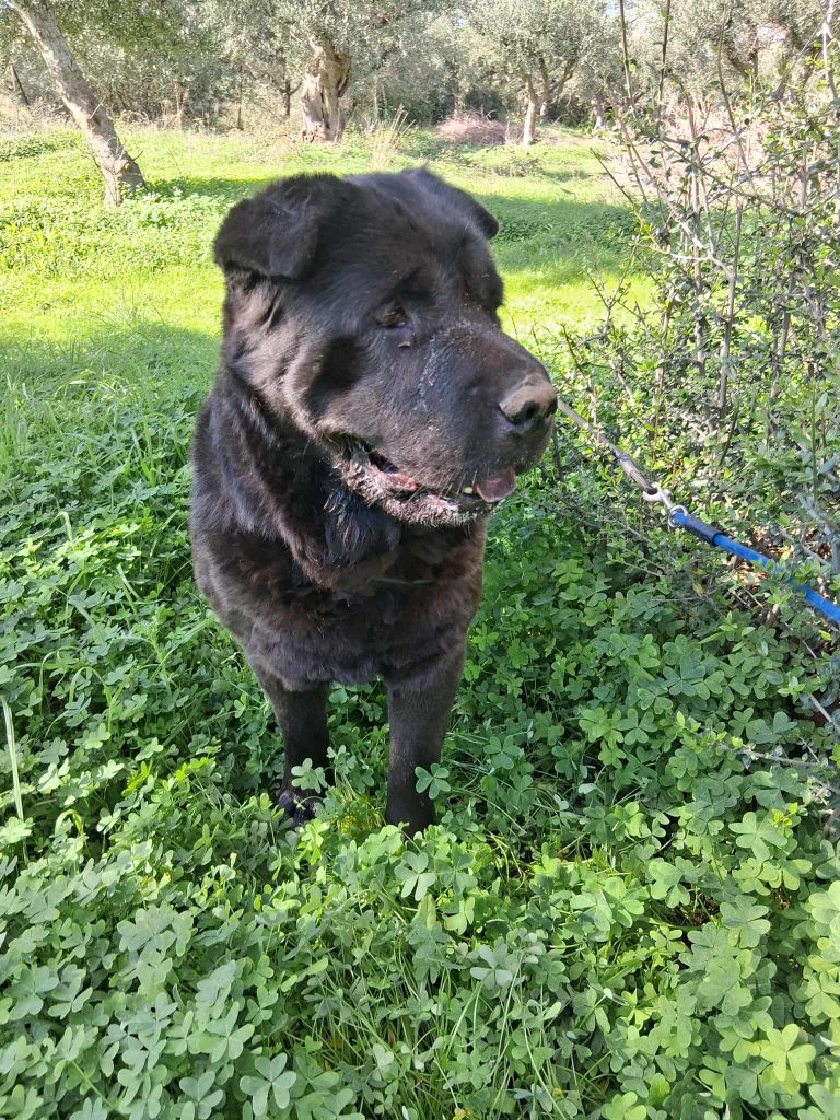 579598556_1187430523257814_1295282140972929891_n