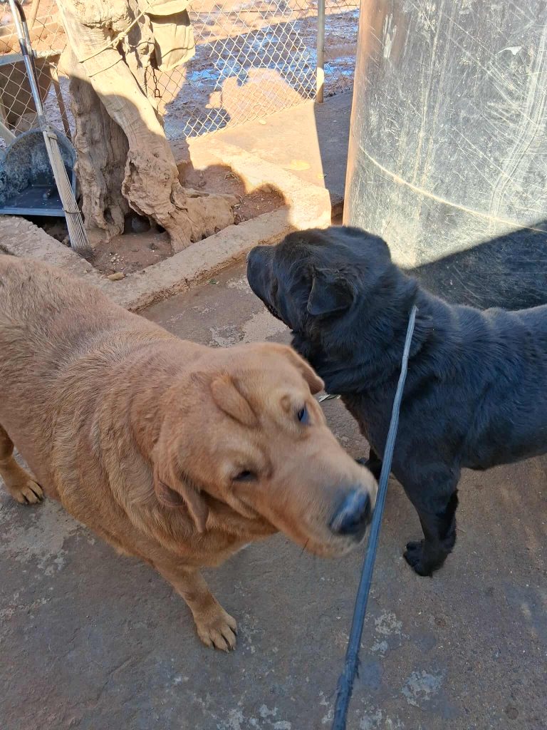 579680762_1348091313678747_8925879399371252448_n