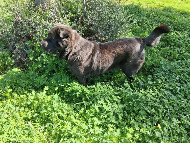 579700057_4150857761836905_2002801572203920315_n