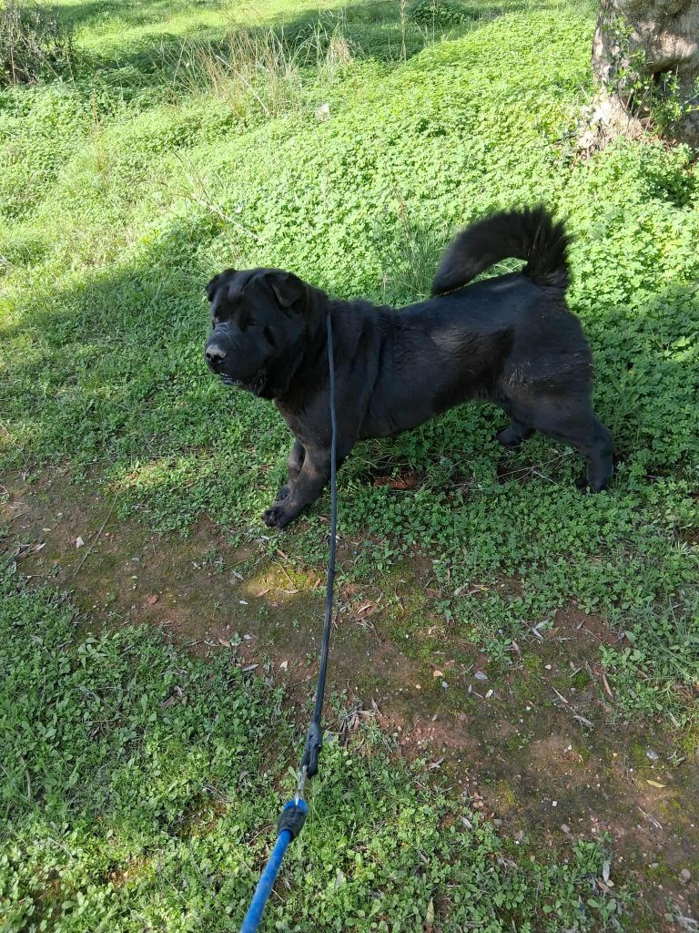 581731496_1389267886104249_5618926747024361512_n