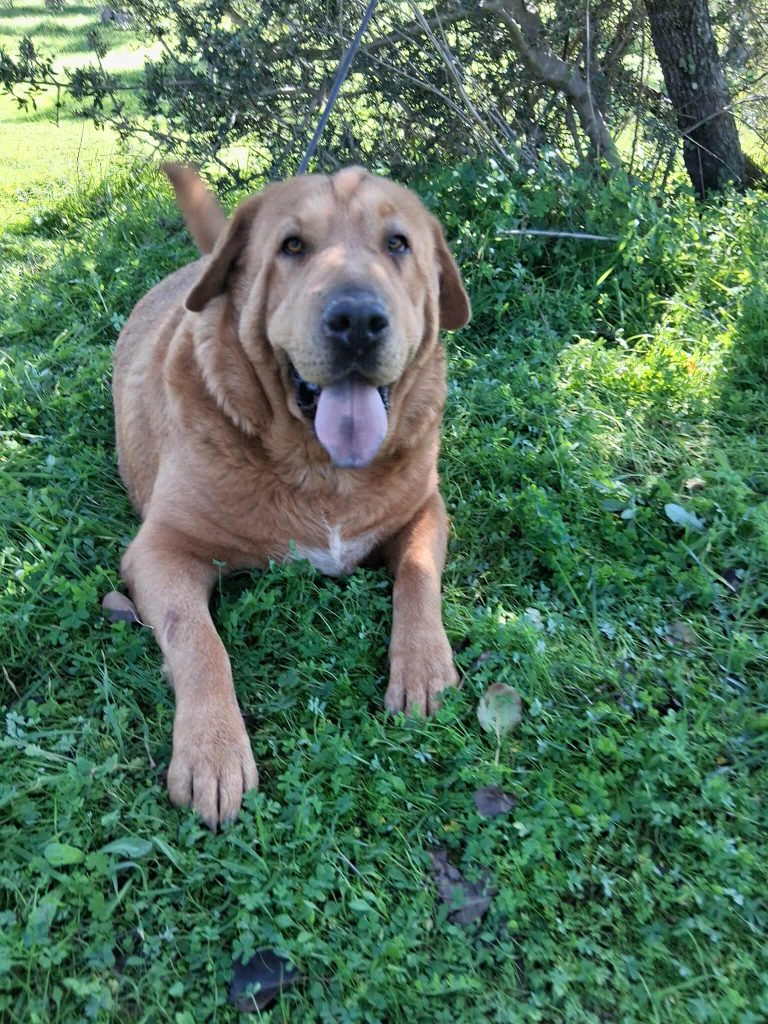 581998883_824333493903348_5672208098994193169_n