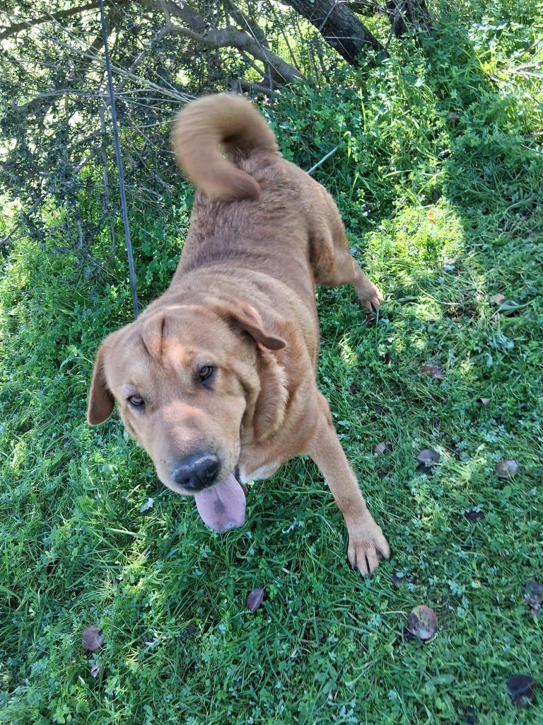 582028291_4102470633341183_7916864288014363488_n