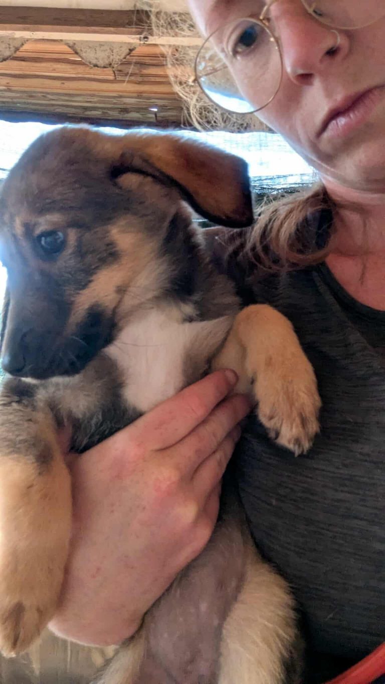 582037116_1478709736538874_2253754094817469996_n