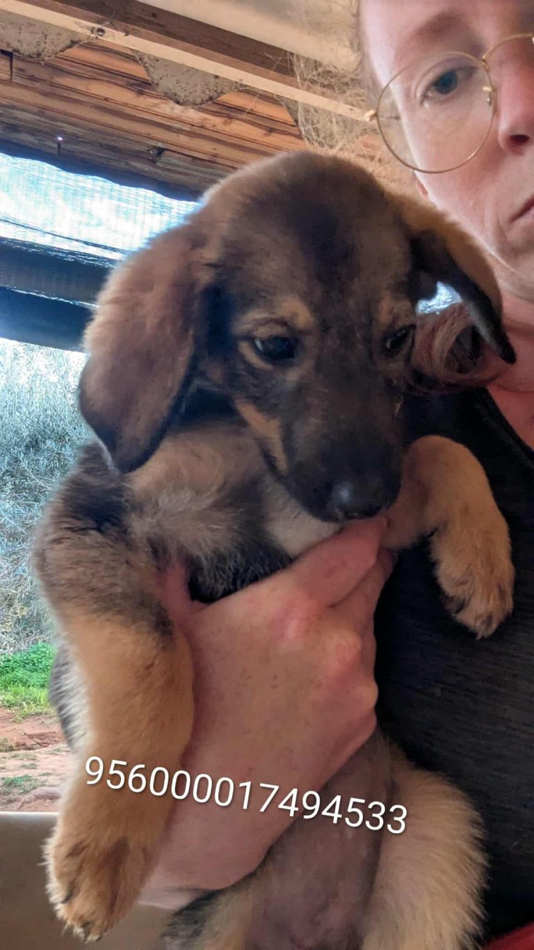 582195841_1242853741221530_7630556380627464844_n