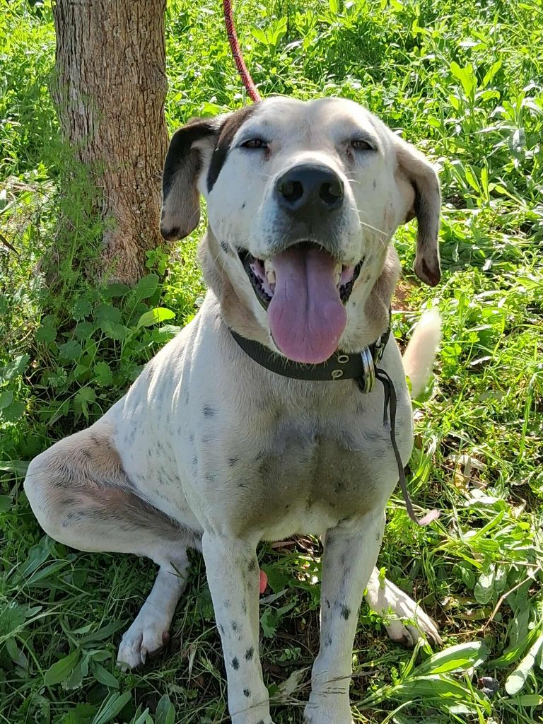 582232097_1203927618247022_4723332433102410493_n