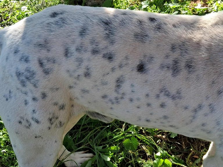 582329628_1586252832540347_2974291636073047407_n