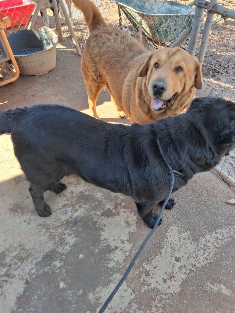 582401287_25484727764496700_6766171245860392402_n