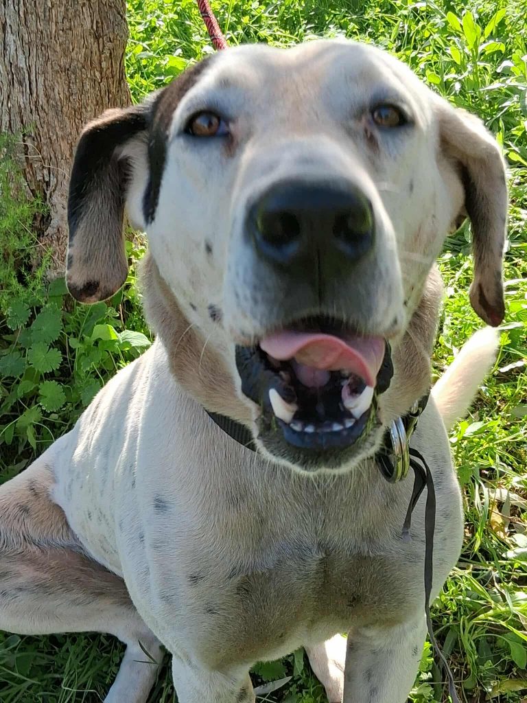 582432064_1758079978235741_482808129219733249_n