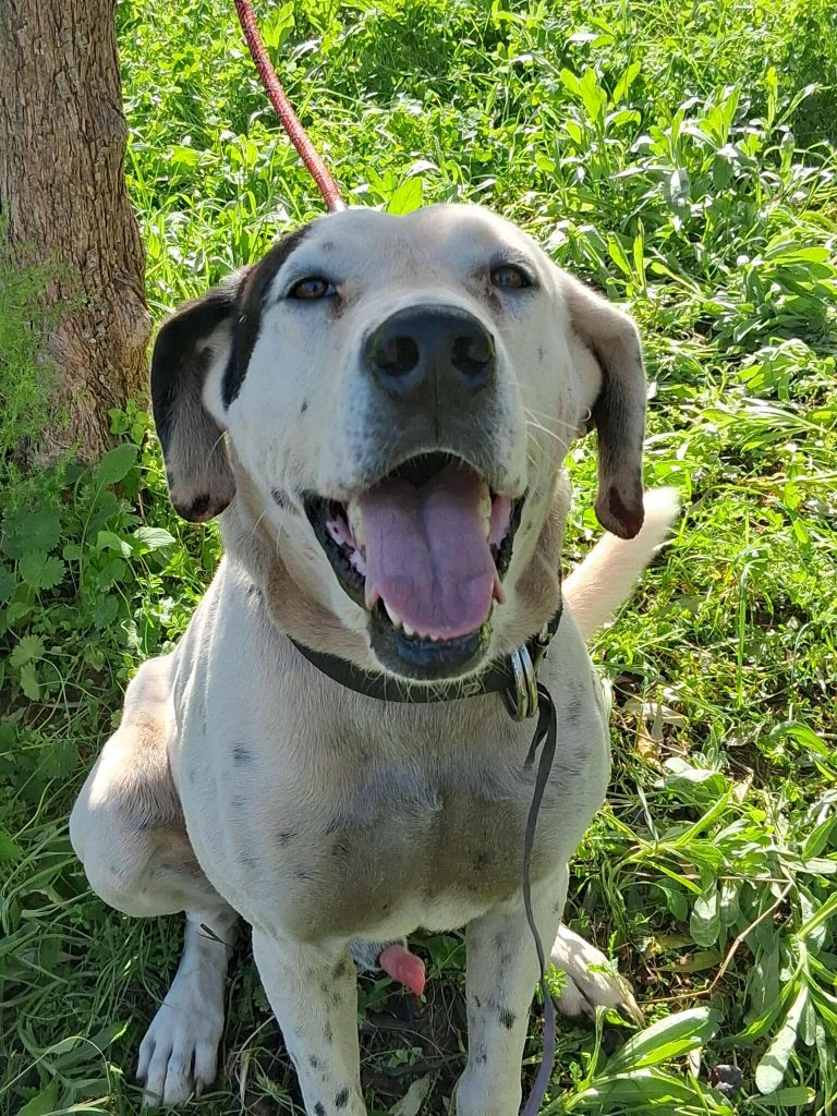 582433206_3360346197474493_2797217725542599555_n