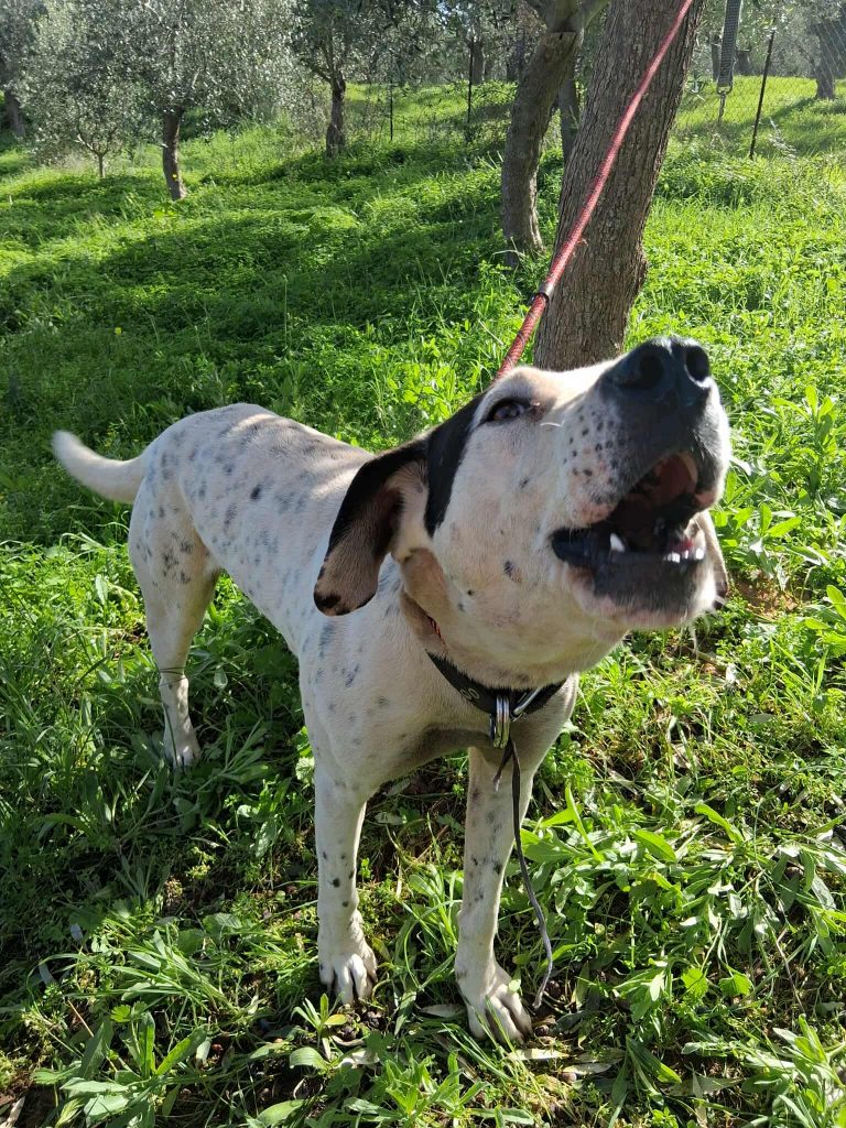 582436745_24791127510570375_5746759052055082595_n