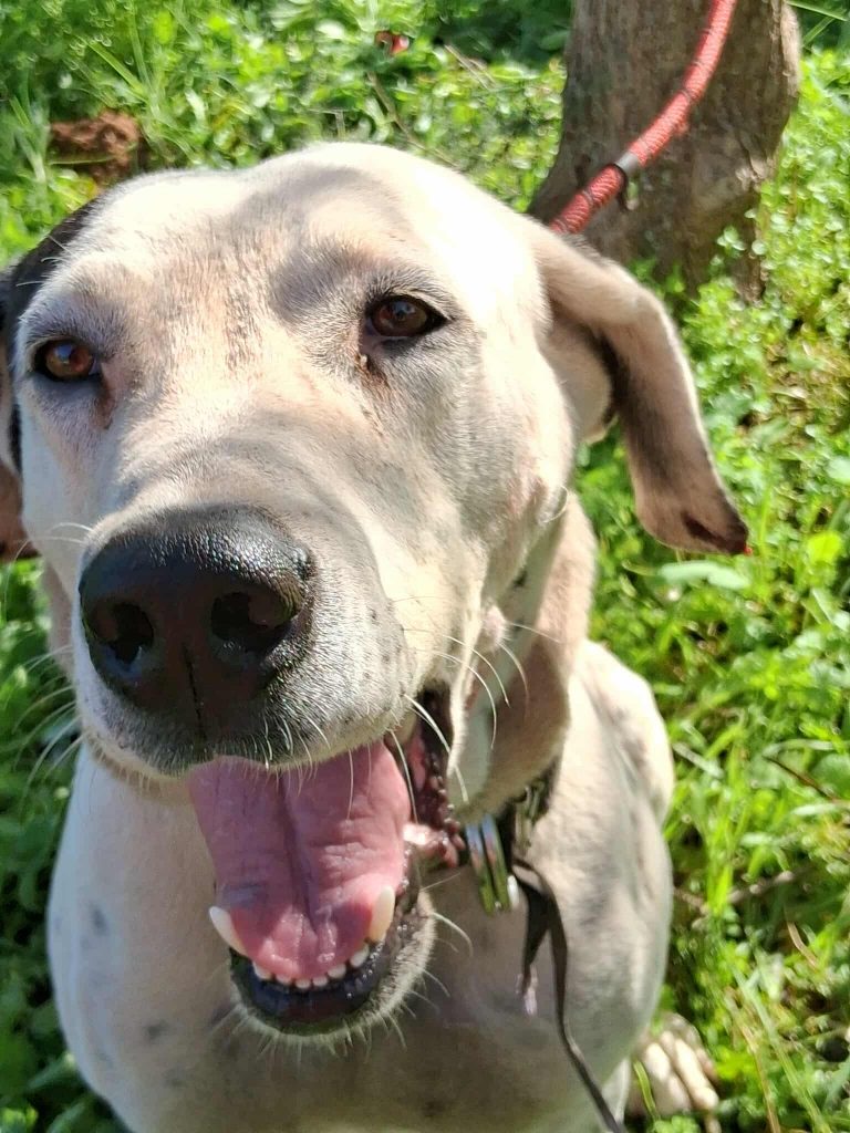 583006828_1383991576640941_2340852665047505355_n